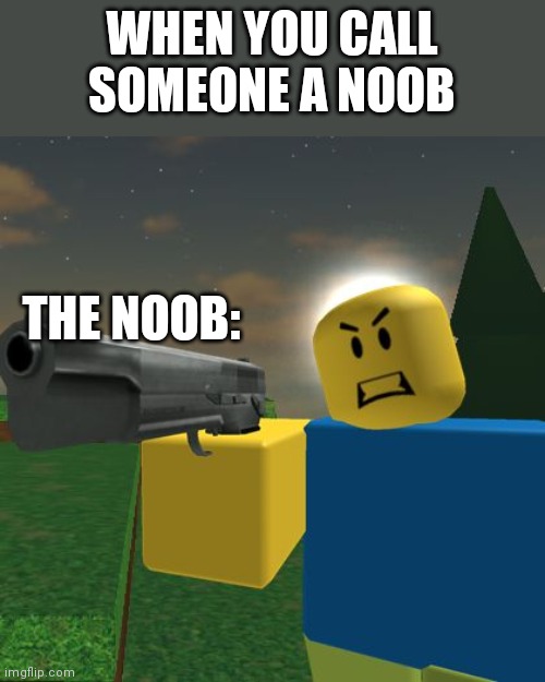 Dont Mess With A Noob And I Love Noobs Imgflip