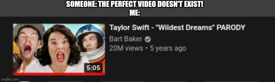https://www.youtube.com/watch?v=BHP4N_R_udw | SOMEONE: THE PERFECT VIDEO DOESN'T EXIST!
ME: | made w/ Imgflip meme maker