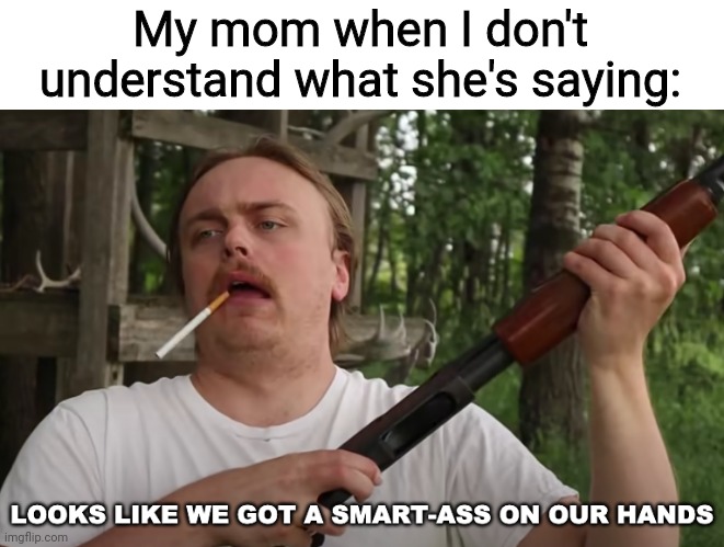 smart-ass on our hands | My mom when I don't understand what she's saying: | image tagged in smart-ass on our hands | made w/ Imgflip meme maker