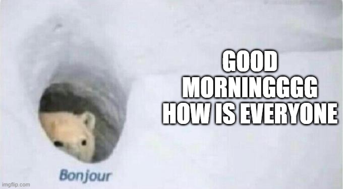 Bonjour Bear | GOOD MORNINGGGG HOW IS EVERYONE | image tagged in bonjour bear | made w/ Imgflip meme maker