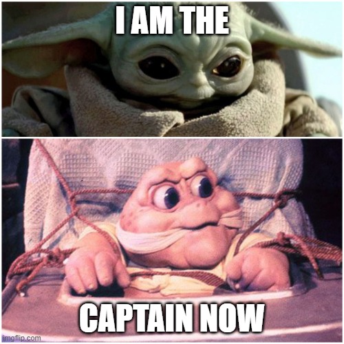 Captain now | I AM THE; CAPTAIN NOW | image tagged in baby yoda | made w/ Imgflip meme maker