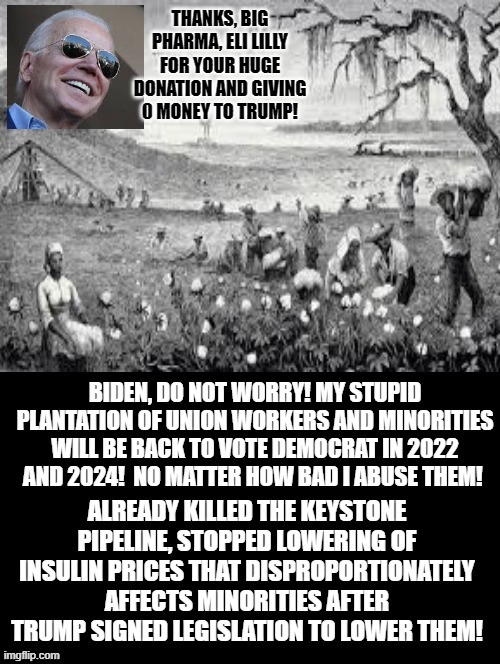 Are You Going To Stay On The Stupid Plantation Of Democrats Or Think For Yourself! | THANKS, BIG PHARMA, ELI LILLY FOR YOUR HUGE DONATION AND GIVING 0 MONEY TO TRUMP! | image tagged in stupid liberals,democrats,smilin biden,biden,stupidity,special kind of stupid | made w/ Imgflip meme maker