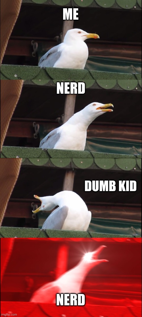 class | ME; NERD; DUMB KID; NERD | image tagged in memes,inhaling seagull | made w/ Imgflip meme maker