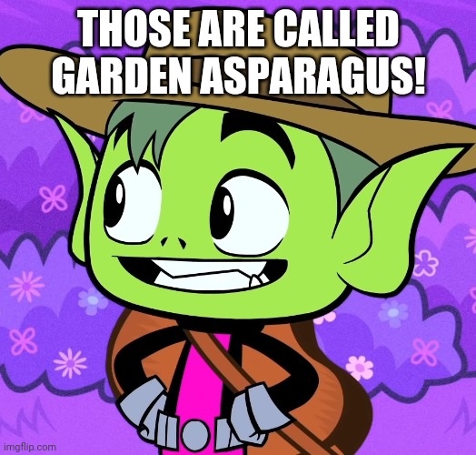 Cowboy Beast Boy (TTG) | THOSE ARE CALLED GARDEN ASPARAGUS! | image tagged in cowboy beast boy ttg | made w/ Imgflip meme maker