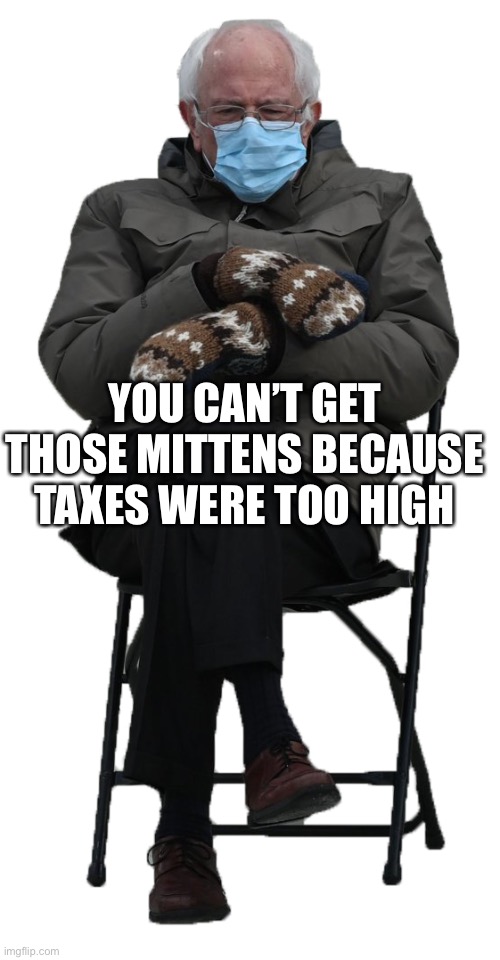 Bernie mittens and taxation | YOU CAN’T GET THOSE MITTENS BECAUSE TAXES WERE TOO HIGH | image tagged in bernie mittens | made w/ Imgflip meme maker