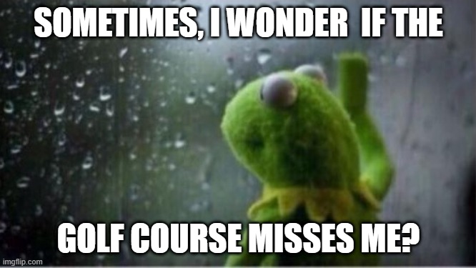 Kermit rain | SOMETIMES, I WONDER  IF THE; GOLF COURSE MISSES ME? | image tagged in kermit rain | made w/ Imgflip meme maker