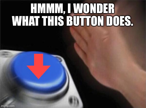 Blank Nut Button | HMMM, I WONDER WHAT THIS BUTTON DOES. | image tagged in memes,blank nut button | made w/ Imgflip meme maker