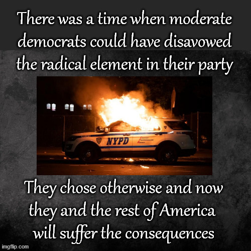 Too late for moderate democrats | image tagged in politics | made w/ Imgflip meme maker