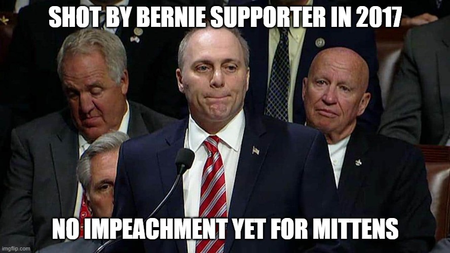 SHOT BY BERNIE SUPPORTER IN 2017; NO IMPEACHMENT YET FOR MITTENS | image tagged in politics | made w/ Imgflip meme maker