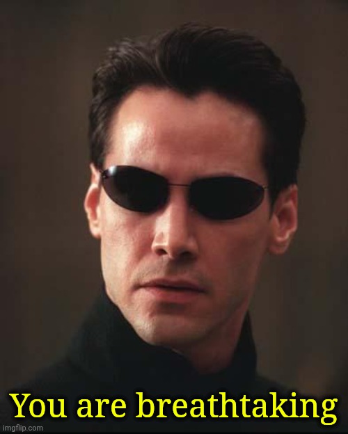 Neo Matrix Keanu Reeves | You are breathtaking | image tagged in neo matrix keanu reeves | made w/ Imgflip meme maker