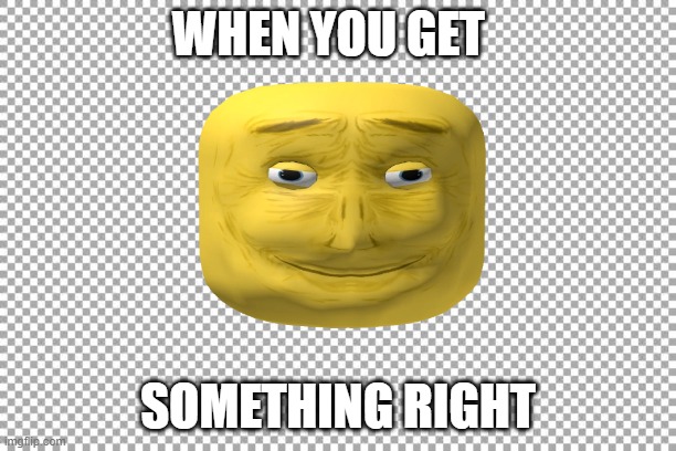 WHEN YOU GET; SOMETHING RIGHT | image tagged in funny memes | made w/ Imgflip meme maker