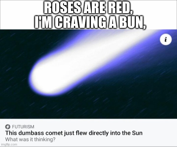 What WAS It Thinking? | ROSES ARE RED, I'M CRAVING A BUN, | image tagged in blank starter make your own meme | made w/ Imgflip meme maker
