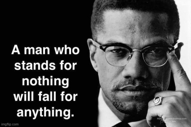 Malcolm X | image tagged in malcolm x,quotes,quote,inspirational quote,inspirational,words of wisdom | made w/ Imgflip meme maker