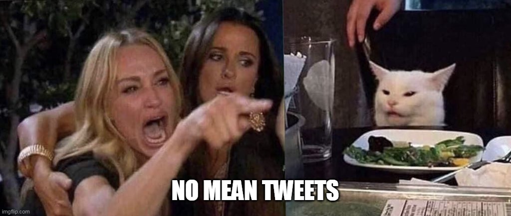 No Mean Tweets | NO MEAN TWEETS | image tagged in woman yelling at cat | made w/ Imgflip meme maker