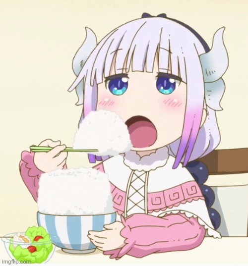 Kanna eating rice | image tagged in kanna eating rice | made w/ Imgflip meme maker