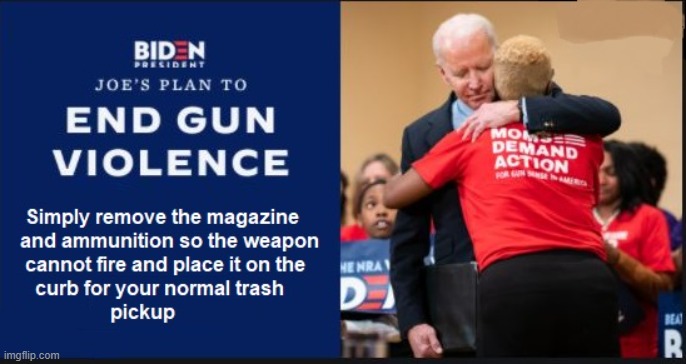 Biden's Plan | image tagged in biden's plan,guns,constitution,gun control,freedom | made w/ Imgflip meme maker