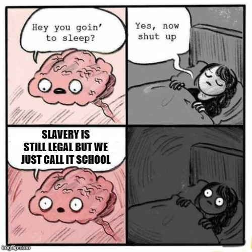History books lied to us | SLAVERY IS STILL LEGAL BUT WE JUST CALL IT SCHOOL | image tagged in hey you going to sleep,slavery,school | made w/ Imgflip meme maker