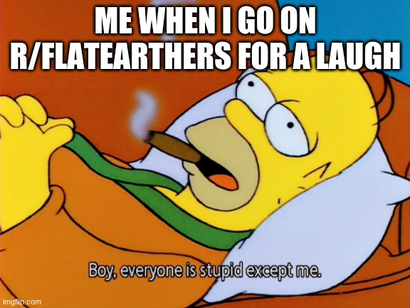Ha Ha now I'm depressed | ME WHEN I GO ON R/FLATEARTHERS FOR A LAUGH | image tagged in homer simpson | made w/ Imgflip meme maker