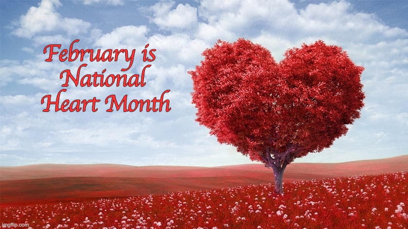 February is 
National
 Heart Month | image tagged in national heart month,heart health,heart | made w/ Imgflip meme maker
