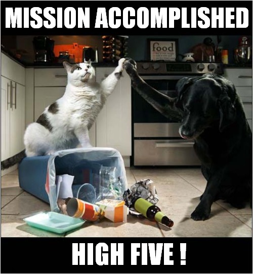 Working Together Pays Off ! | MISSION ACCOMPLISHED; HIGH FIVE ! | image tagged in cats,dogs,mission accomplished,high five | made w/ Imgflip meme maker