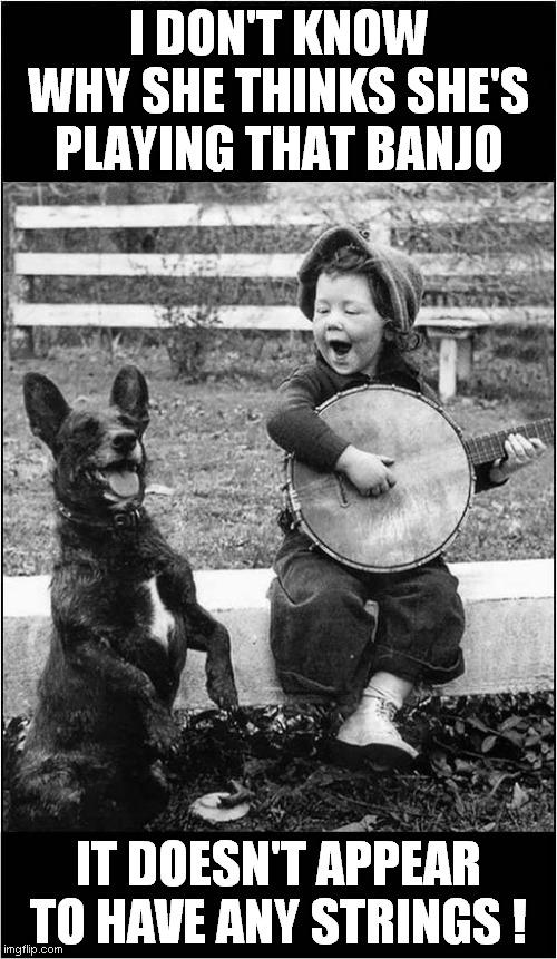 It's Got No Strings ! | I DON'T KNOW WHY SHE THINKS SHE'S PLAYING THAT BANJO; IT DOESN'T APPEAR TO HAVE ANY STRINGS ! | image tagged in fun,banjo,dogs,confusion | made w/ Imgflip meme maker