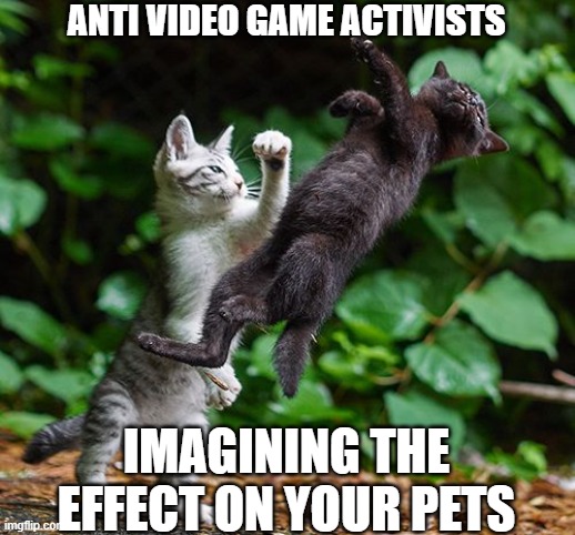 Try solving real problems instead | ANTI VIDEO GAME ACTIVISTS; IMAGINING THE EFFECT ON YOUR PETS | image tagged in mortal kombat,videogames,warrior cats,waste of time | made w/ Imgflip meme maker