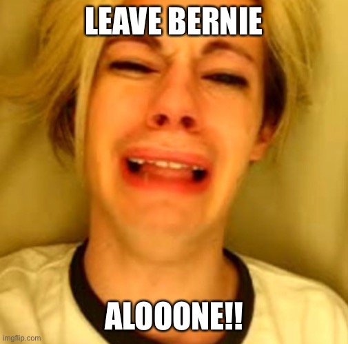 Leave Bernie Alone | LEAVE BERNIE; ALOOONE!! | image tagged in bernie sanders | made w/ Imgflip meme maker