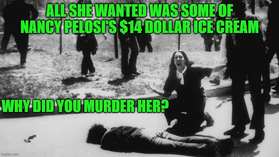 Justice for Ashli Babbitt | ALL SHE WANTED WAS SOME OF NANCY PELOSI'S $14 DOLLAR ICE CREAM; WHY DID YOU MURDER HER? | image tagged in democrats,communism,deep state repression | made w/ Imgflip meme maker