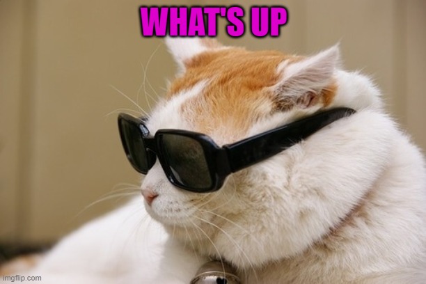 WHAT'S UP | made w/ Imgflip meme maker