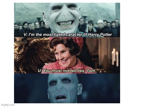 Umbridge is the WORST!!!! | image tagged in harry potter,voldemort,dolores umbridge | made w/ Imgflip meme maker