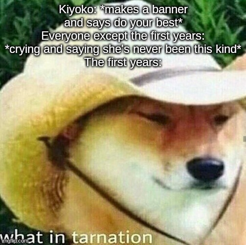 What in tarnation dog | Kiyoko: *makes a banner and says do your best*
Everyone except the first years: *crying and saying she's never been this kind*
The first years: | image tagged in what in tarnation dog | made w/ Imgflip meme maker