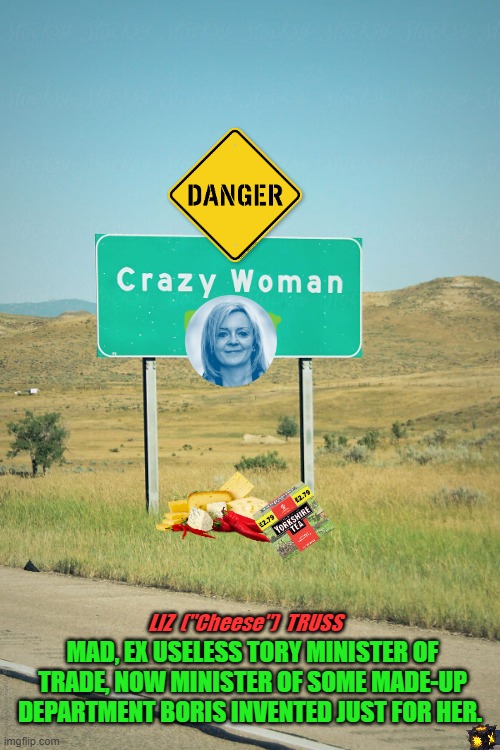 CRAZY LIZ TRUSS | MAD, EX USELESS TORY MINISTER OF TRADE, NOW MINISTER OF SOME MADE-UP DEPARTMENT BORIS INVENTED JUST FOR HER. LIZ  ("Cheese")  TRUSS | image tagged in crazy liz truss | made w/ Imgflip meme maker