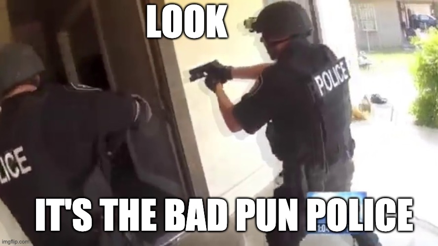 FBI OPEN UP | LOOK IT'S THE BAD PUN POLICE | image tagged in fbi open up | made w/ Imgflip meme maker