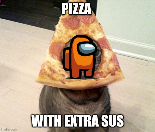 pizza cat | PIZZA; WITH EXTRA SUS | image tagged in pizza cat | made w/ Imgflip meme maker