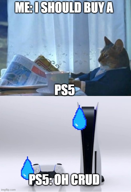 run! | ME: I SHOULD BUY A; PS5; PS5: OH CRUD | image tagged in memes,i should buy a boat cat | made w/ Imgflip meme maker