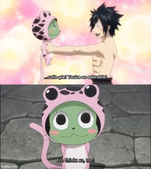 Fairytail Frosch Fairy Tail Memes Gifs Imgflip
