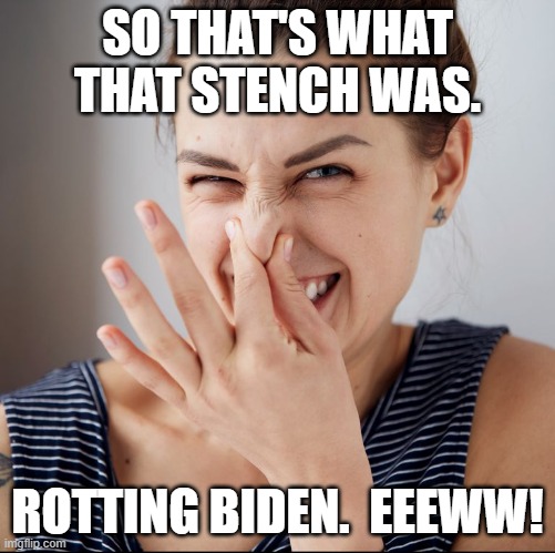SO THAT'S WHAT THAT STENCH WAS. ROTTING BIDEN.  EEEWW! | made w/ Imgflip meme maker