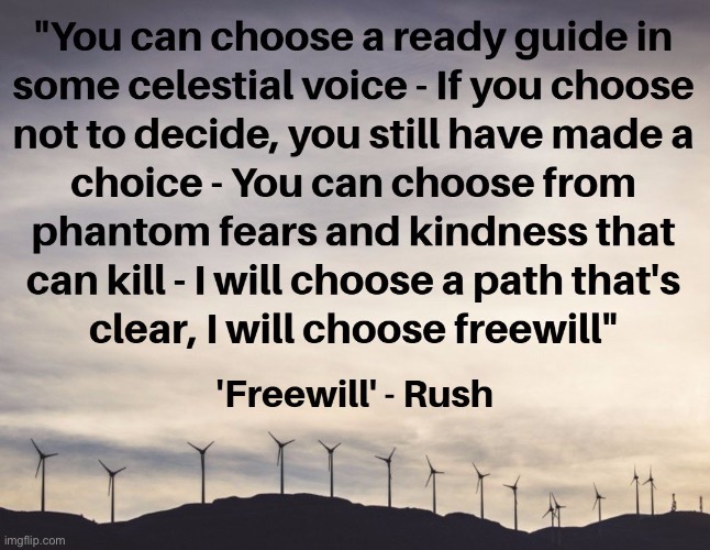 “Freewill,” Rush. | image tagged in rush freewill,rush,song lyrics,classic rock,philosophy,lyrics | made w/ Imgflip meme maker