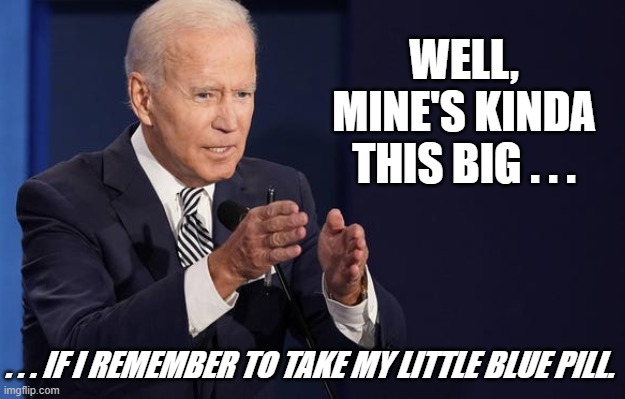 WELL, MINE'S KINDA THIS BIG . . . . . . IF I REMEMBER TO TAKE MY LITTLE BLUE PILL. | made w/ Imgflip meme maker