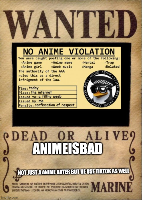 He say tiktok rules so find him for 500000  points | ANIMEISBAD; NOT JUST A ANIME HATER BUT HE USE TIKTOK AS WELL | image tagged in one piece wanted poster template,anime,no anime allowed | made w/ Imgflip meme maker