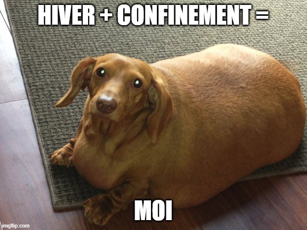Fat doggo | HIVER + CONFINEMENT =; MOI | image tagged in fat doggo | made w/ Imgflip meme maker