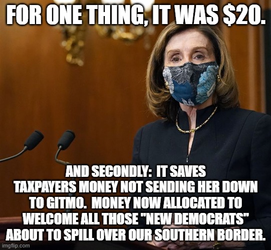 FOR ONE THING, IT WAS $20. AND SECONDLY:  IT SAVES TAXPAYERS MONEY NOT SENDING HER DOWN TO GITMO.  MONEY NOW ALLOCATED TO WELCOME ALL THOSE  | made w/ Imgflip meme maker