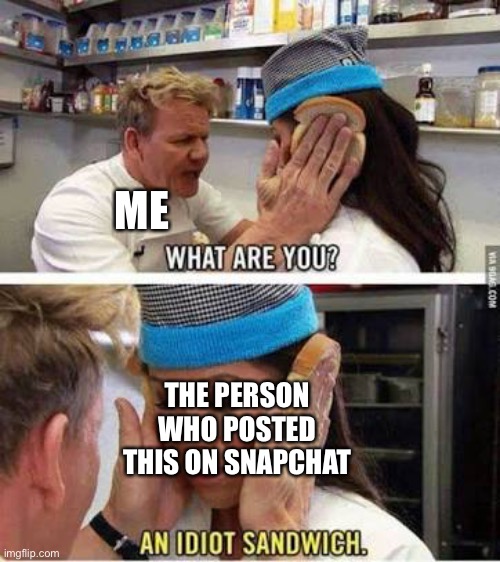 Idiot sandwich | ME THE PERSON WHO POSTED THIS ON SNAPCHAT | image tagged in idiot sandwich | made w/ Imgflip meme maker