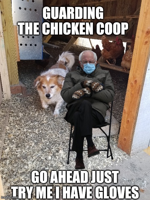 GUARDING THE CHICKEN COOP; GO AHEAD JUST TRY ME I HAVE GLOVES | made w/ Imgflip meme maker