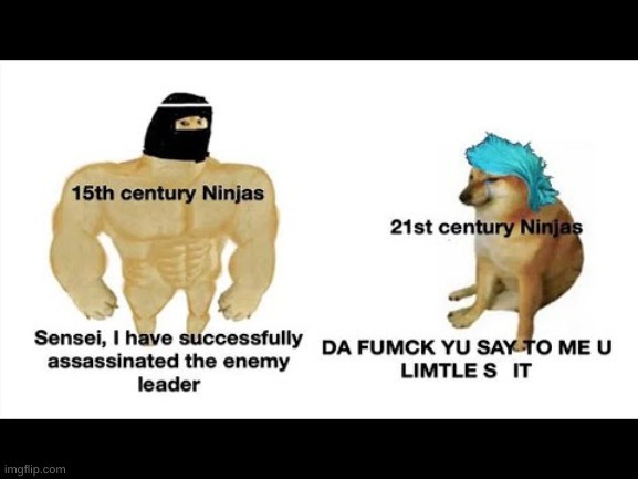 Ninjas | image tagged in ninjas,funny,gifs,memes,charts,demotivationals | made w/ Imgflip meme maker