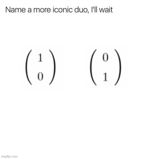 Name a more iconic duo, I'll wait | image tagged in name a more iconic duo i'll wait,math,physics | made w/ Imgflip meme maker