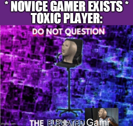 Do not question the elevated one | * NOVICE GAMER EXISTS *; TOXIC PLAYER: | image tagged in do not question the elevated one | made w/ Imgflip meme maker