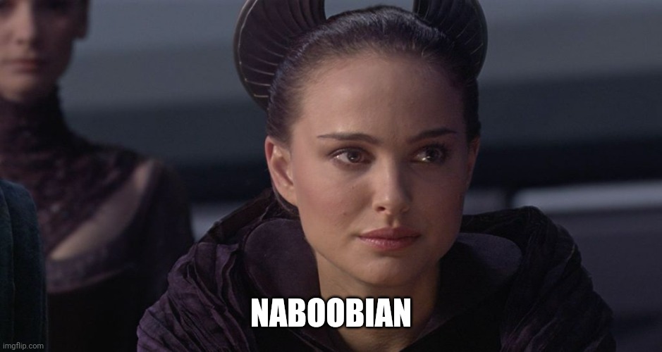 Queen Amidala | NABOOBIAN | image tagged in queen amidala | made w/ Imgflip meme maker