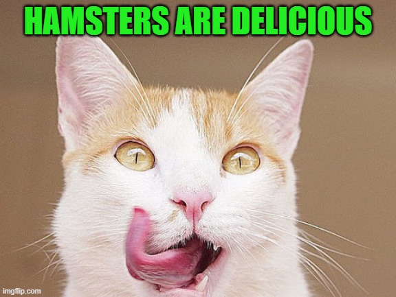 HAMSTERS ARE DELICIOUS | made w/ Imgflip meme maker