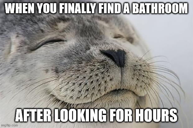 Ahhhhh......Relief | WHEN YOU FINALLY FIND A BATHROOM; AFTER LOOKING FOR HOURS | image tagged in memes,satisfied seal | made w/ Imgflip meme maker